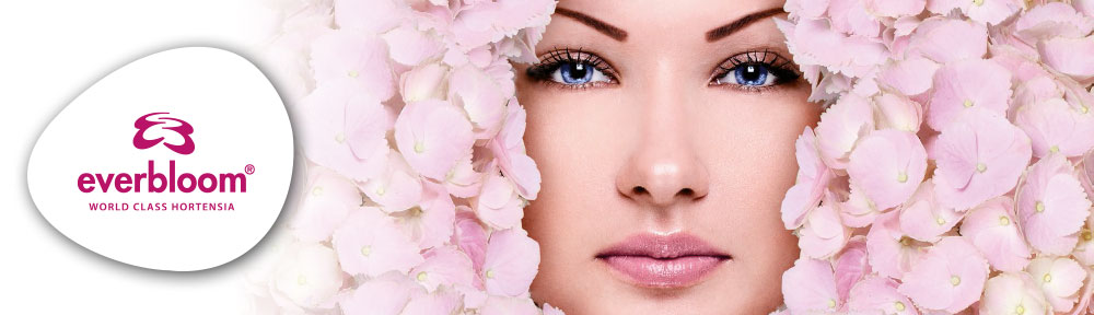 Everbloom